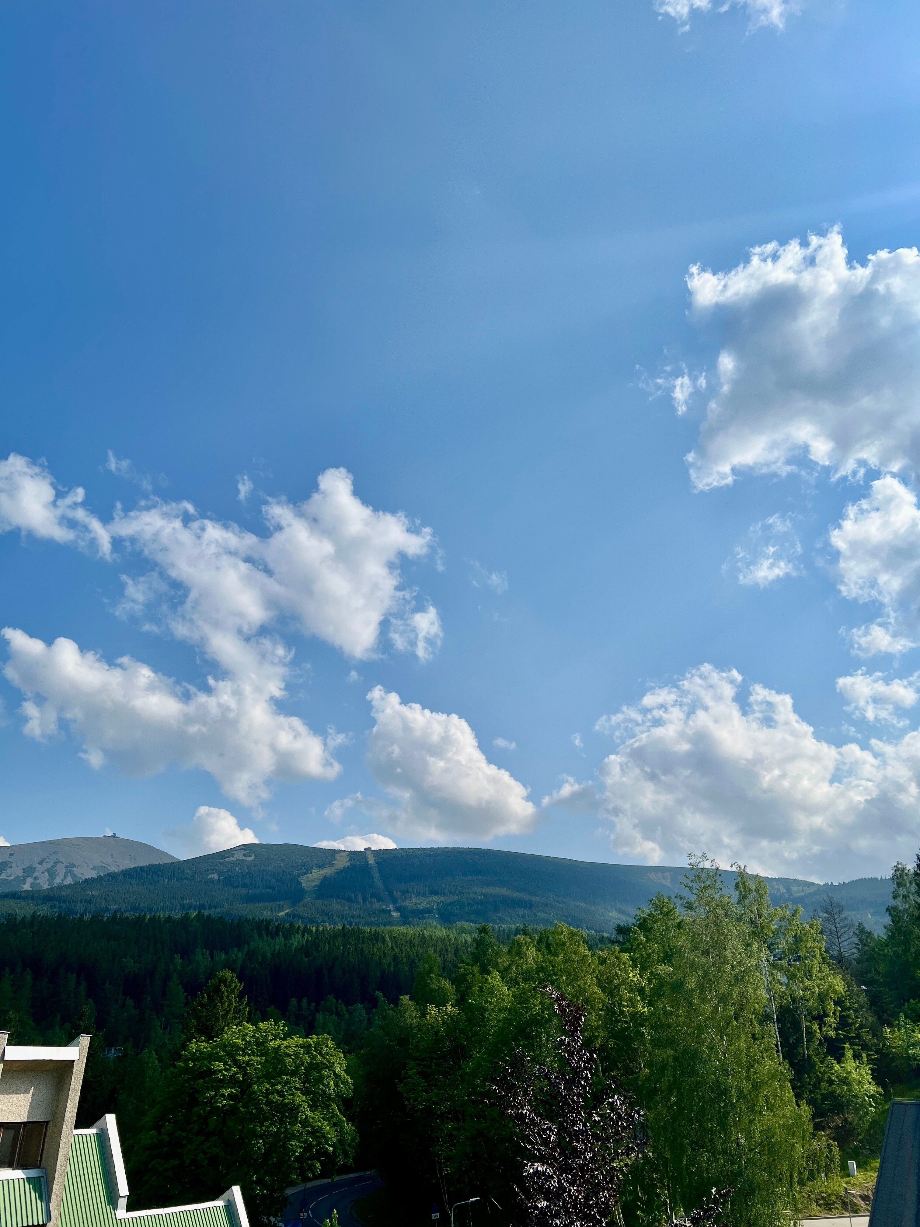 IMG_3510 IMG_3510