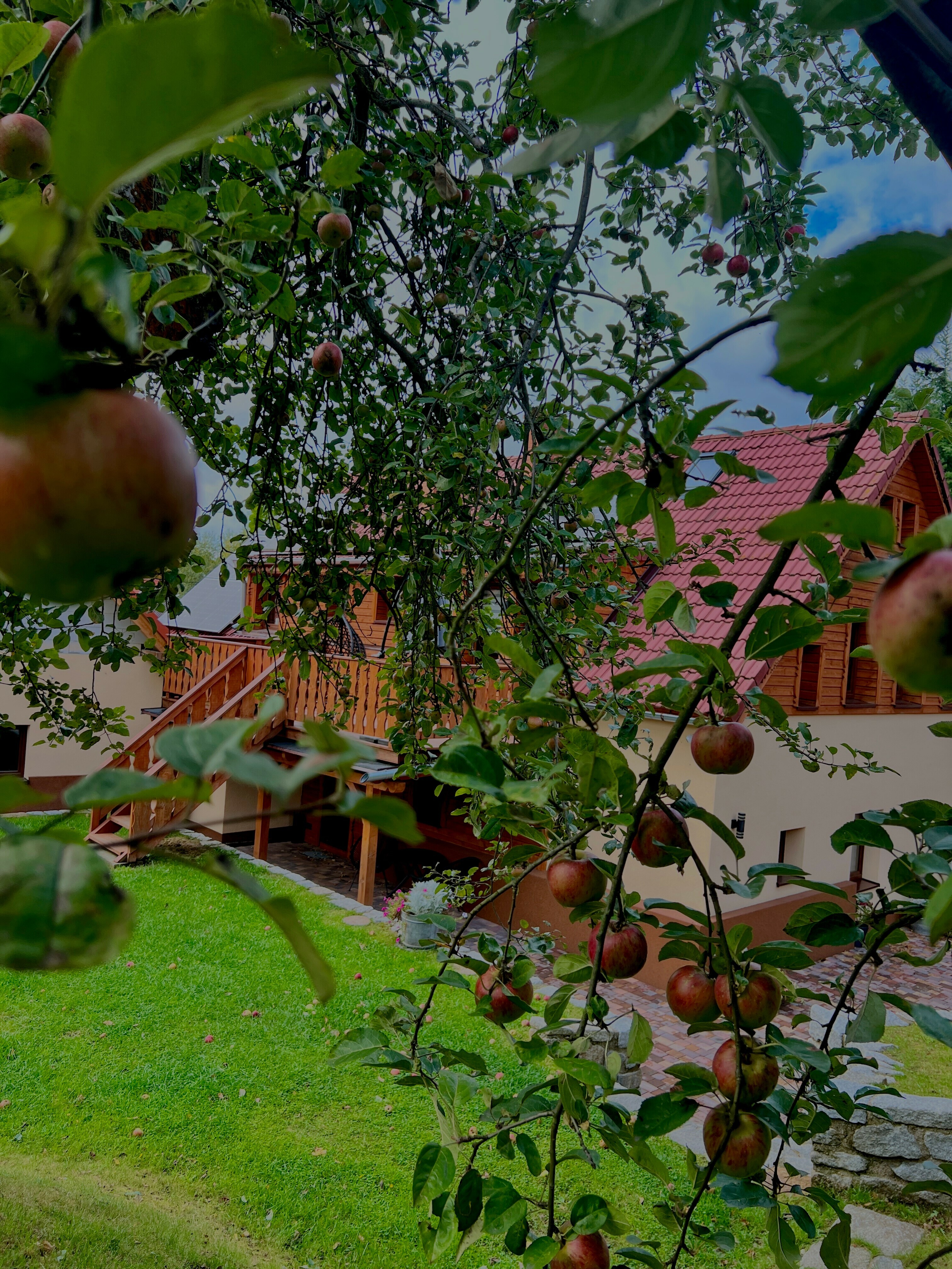 IMG_0034 2 IMG_0034 2